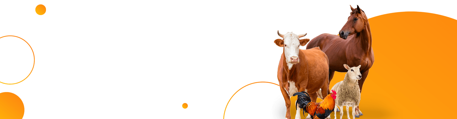 title_69e2bfe12c83f15891111461776467937